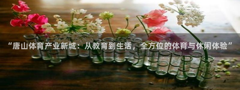 vsport体育官网下载平台注册流程图：“唐山体育产