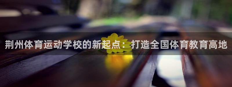 vsport体育官方集团官网：荆州体育运动学校的新起