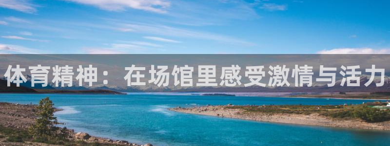 vsport体育官方正版app新能源：体育精神：在场