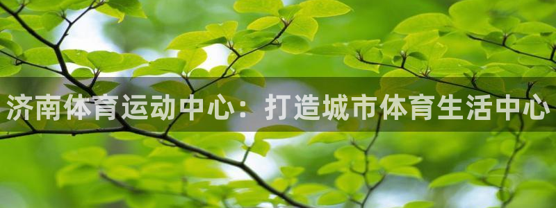 注册vsport体育官方正版app：济南体育运动中心