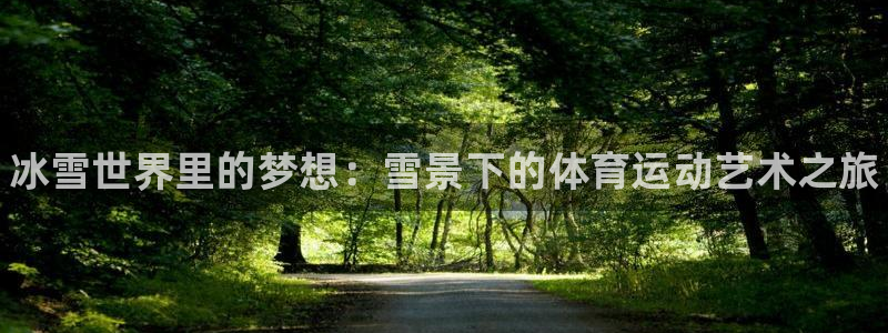vsport体育官网下载招商：冰雪世界里的梦想：雪景下的体育