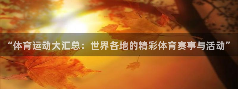 vsport体育官方正版app官方：“体育运动大汇总：世界各