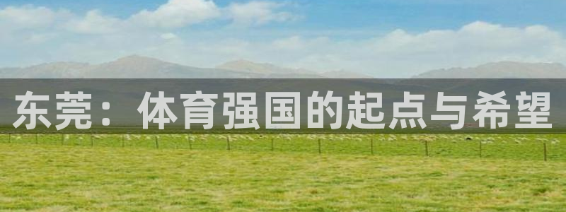 vsport体育官方正版app集团官网首页网址