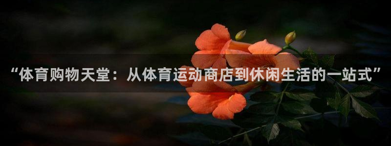vsport体育官网下载平台是正规平台吗：“体育购物