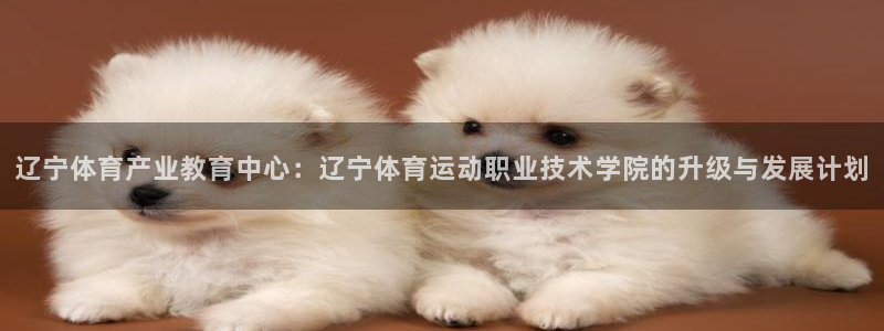 vsport体育官方正版app娱乐下载：辽宁体育产业