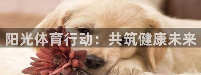 vsport体育官方正版app娱乐首页官网下载：阳光