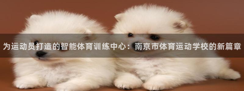 vsport体育官网下载娱乐