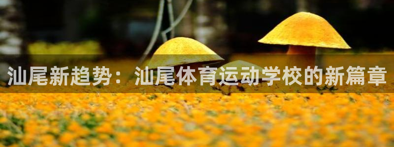 vsport体育官方正版app娱乐代理怎么样：汕尾新