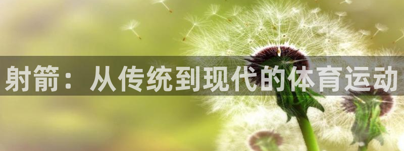 vsport体育官网下载招商电话号码查询是多少：射箭：从传统