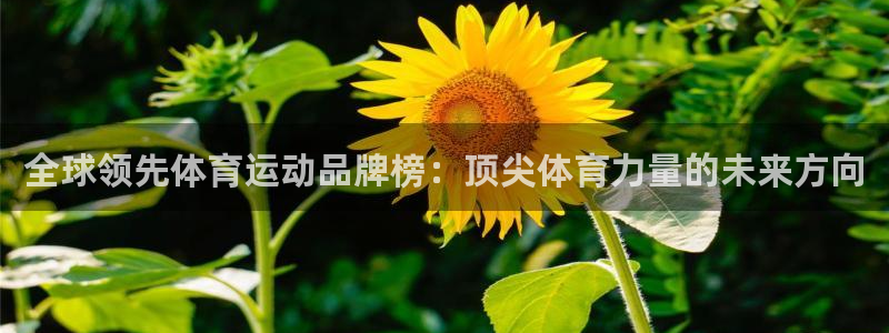 vsport体育官网下载招商电话号码是多少啊：全球领