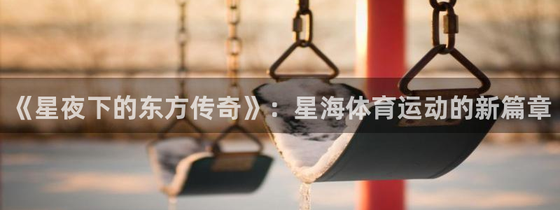 vsport体育官方正版app娱乐首页官网下载：《星