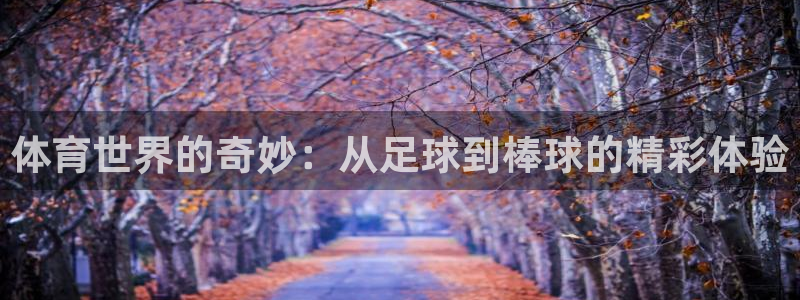 vsport体育官方正版app集团：体育世界的奇妙：从足球到