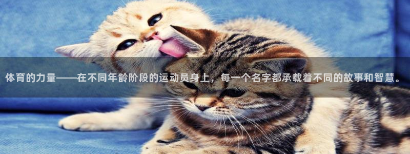 vsport体育官网下载平台假的吗是真的吗吗：体育的力量——