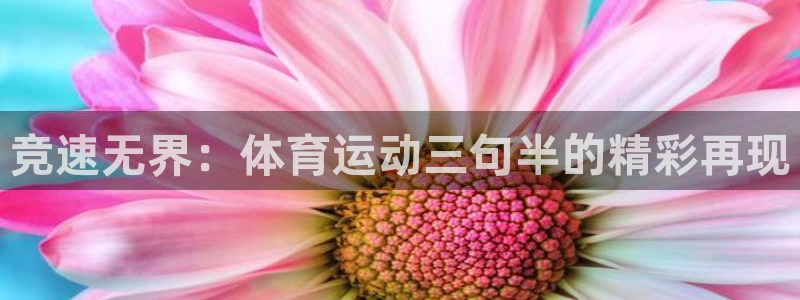 vsport体育官网下载平台注册流程视频：竞速无界：体育运动