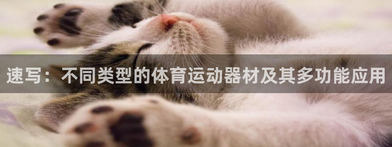 vsport体育官网下载平台注册流程图：速写：不同类型的体育