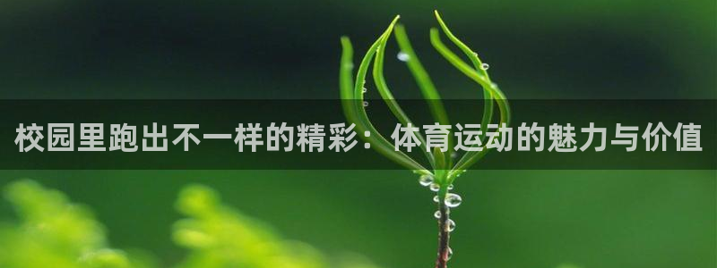 vsport体育官方正版app官方：校园里跑出不一样的精彩：
