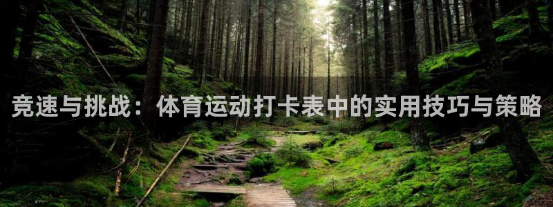 vsport体育官方正版app五金厂：竞速与挑战：体育运动打