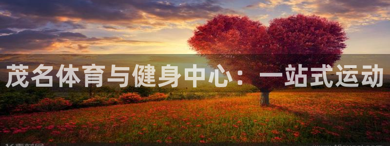 vsport体育官方正版app新能源