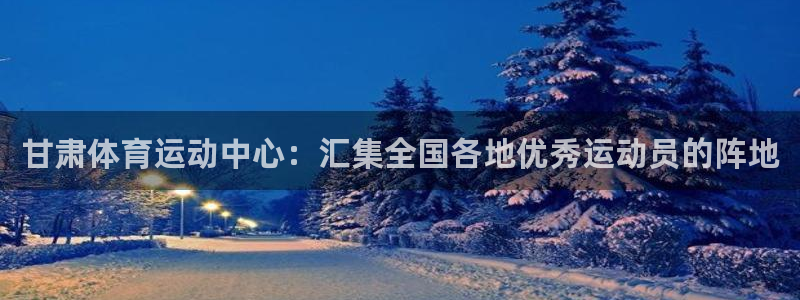 vsport体育官方正版app娱乐平台