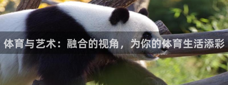 vsport体育官方正版app娱乐是那个系列的台子：体育与艺