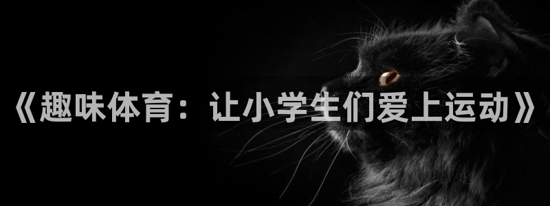 德国vsport体育官方正版app集团：《趣味体育：