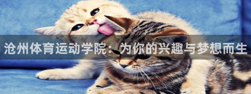 vsport体育官网下载官方客服电话：沧州体育运动学院：为你