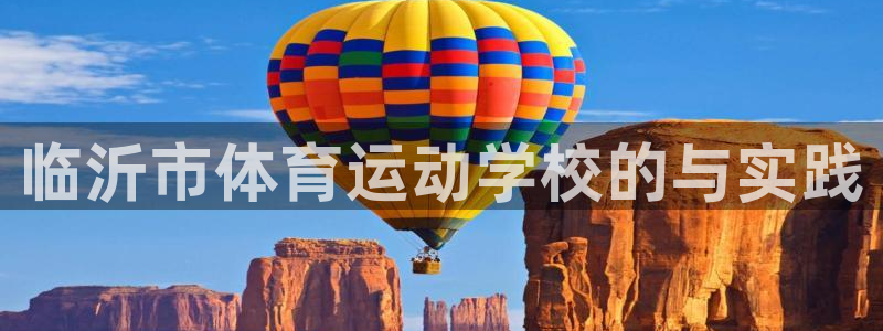 vsport体育官方正版app集团E.ON：临沂市体