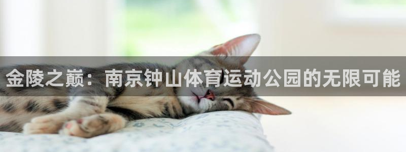 vsport体育官网下载招商电话号码：金陵之巅：南京