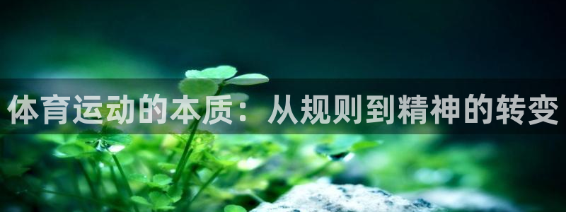  vsport体育平台app：体育运动的本质：从规则到精神的转
