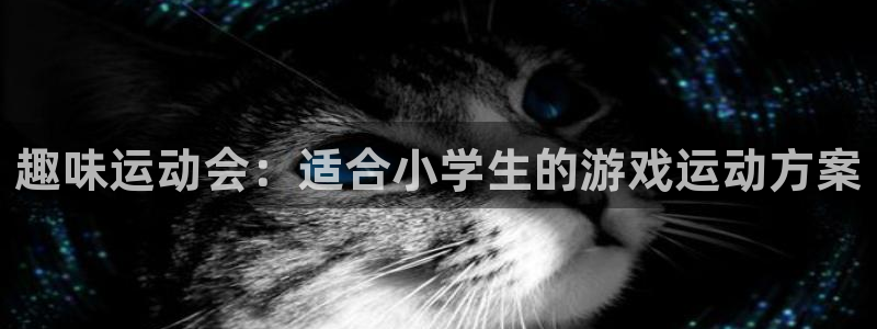 vsport体育平台app：趣味运动