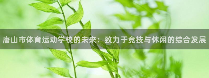 VSport体育官网入口：唐山市体育