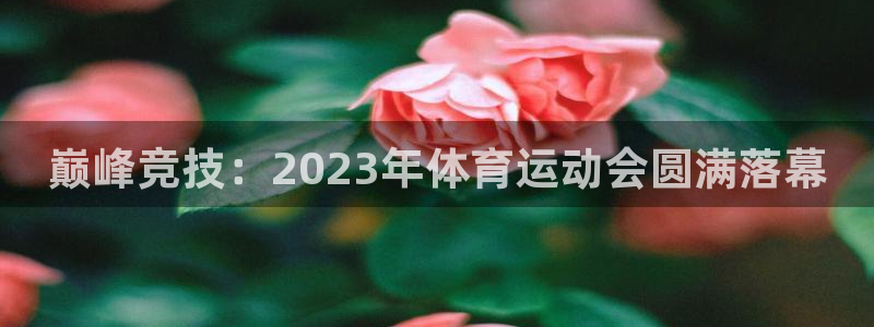 vsport体育阿根廷：巅峰竞技：2