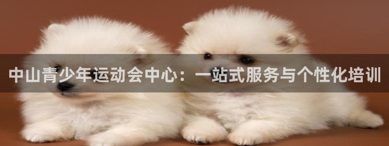 vsport体育：中山青少年运动会中心：一站式服务与个性化培