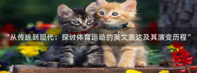 vsport体育在线官网阿根廷：“从