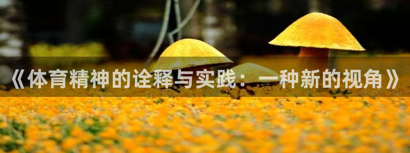 vsport体育在线官网：《体育精神