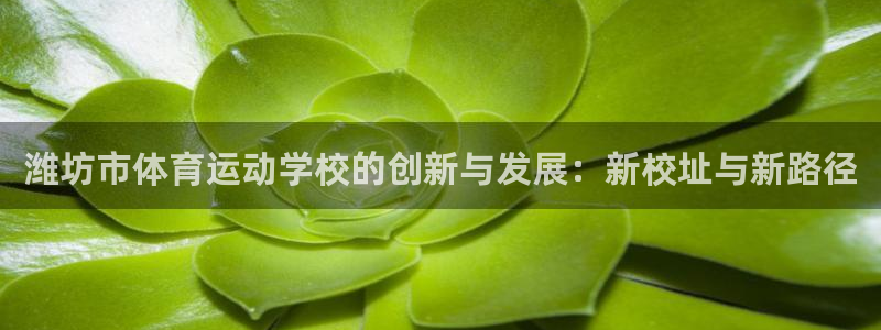 vsport体育在线官网：潍坊市体育运动学校的创新与发展：新