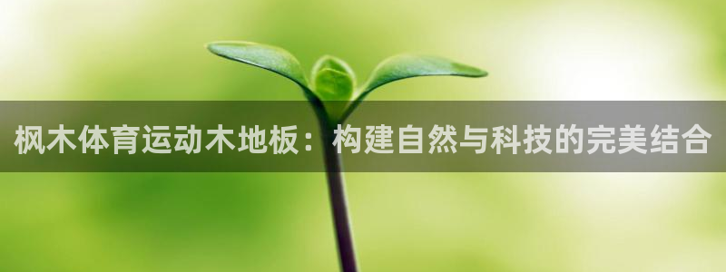  vsport体育在线官网阿根廷：枫木体育运动木地板：构建自然