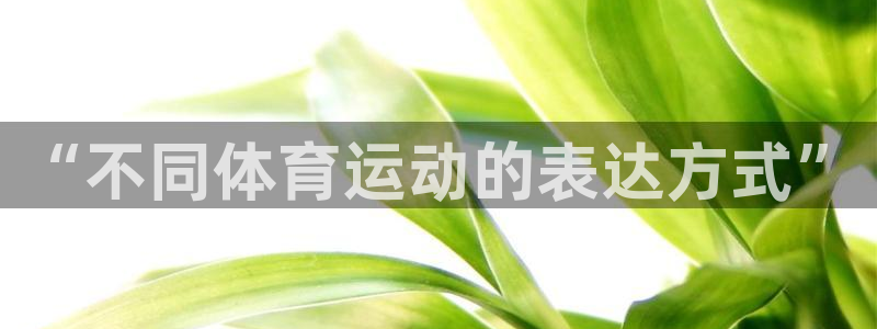vsport体育平台app下载安装免