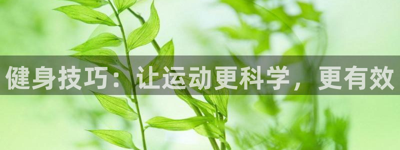 Vsport体育官方网站入口：健身技